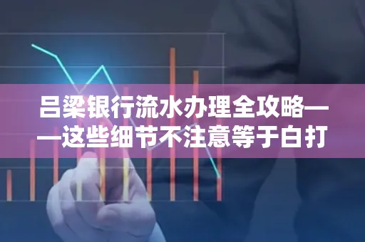 吕梁银行流水办理全攻略——这些细节不注意等于白打